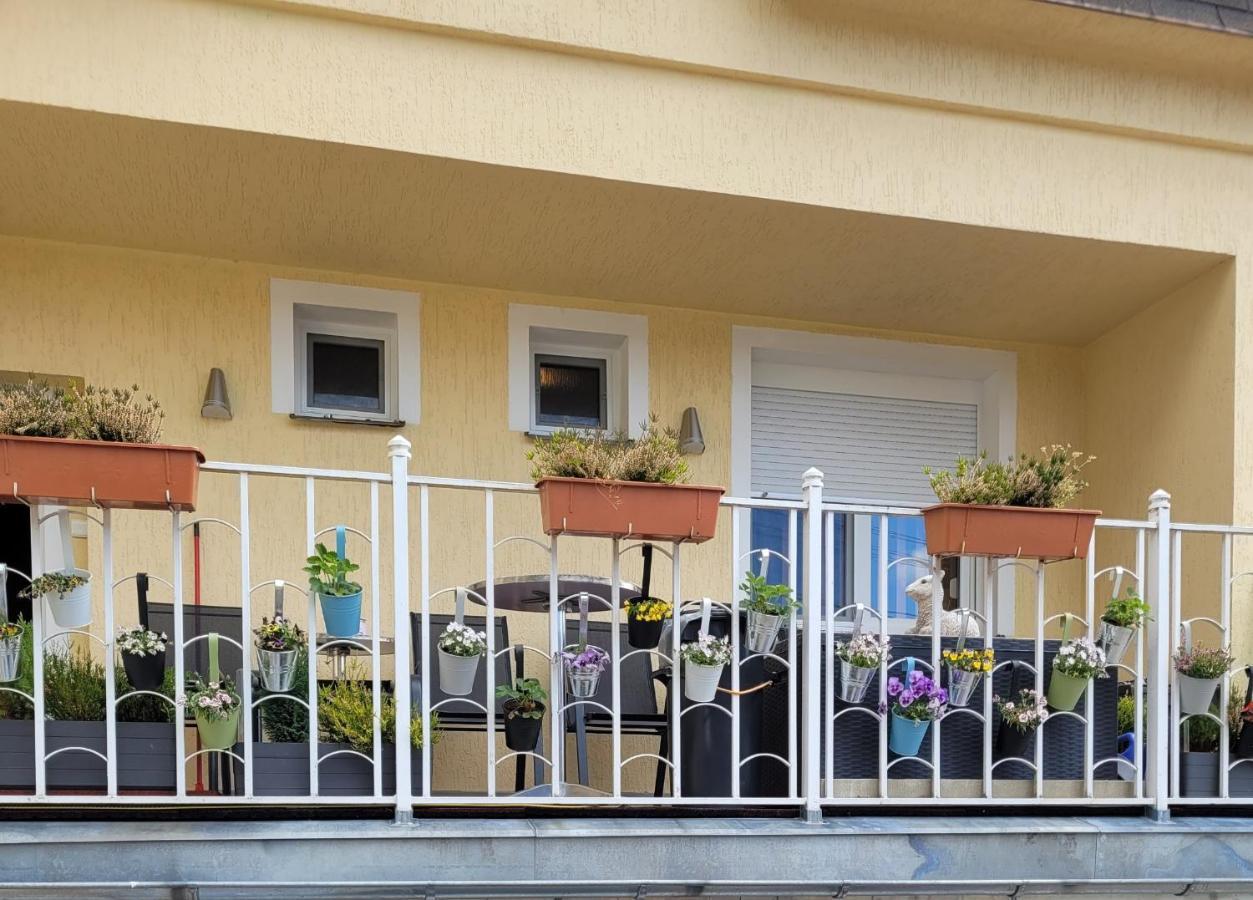 Pension Relax U Komina Františkovy Lázně Екстериор снимка